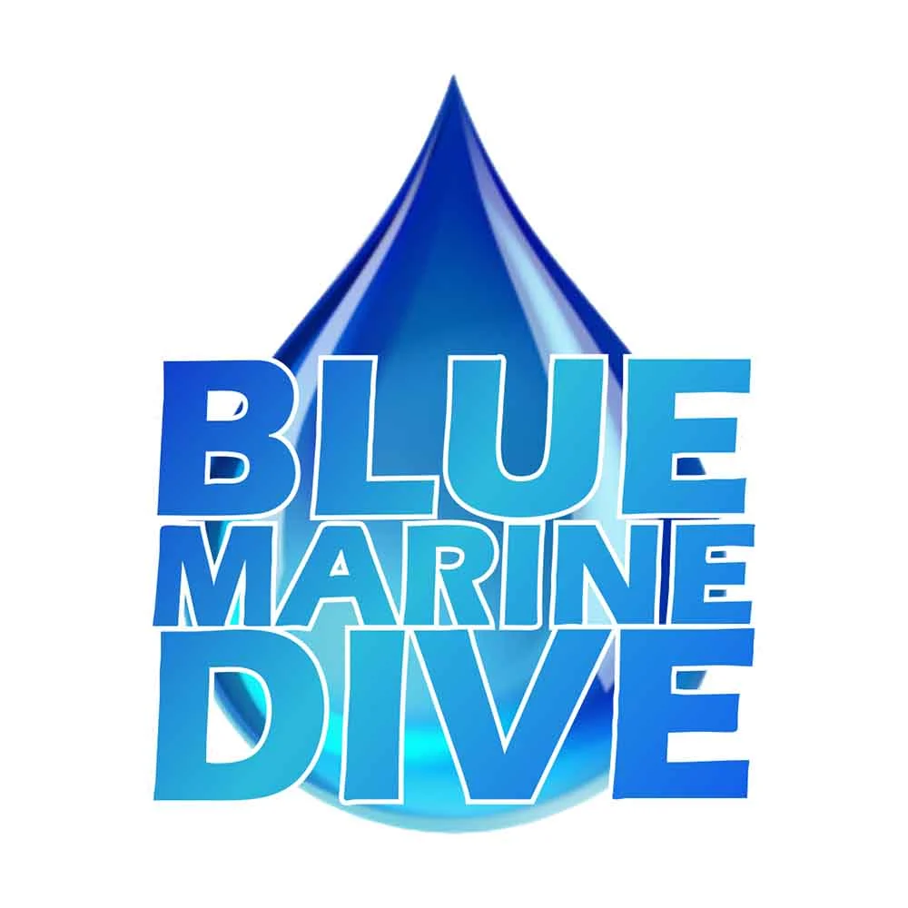 Lowongn Kerja di Blue Marine Dive